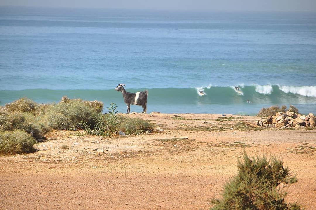 Manzili Surfhouse Hotel Tamraght Luaran gambar